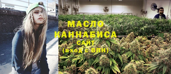 хмурый Ладушкин